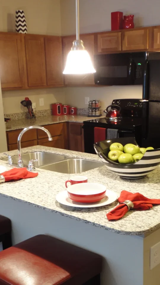a kitchen with a stove, refrigerator, and sink at The Anatole at City View